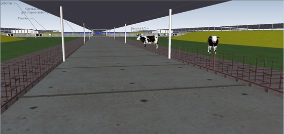 3D графика: Модели животноводческих ферм