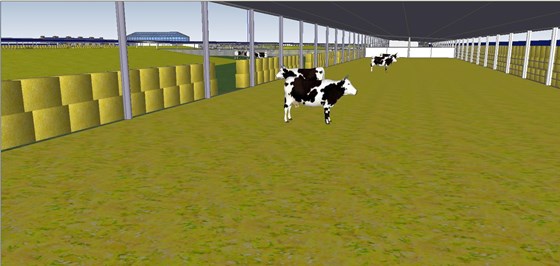 3D графика: Модели животноводческих ферм